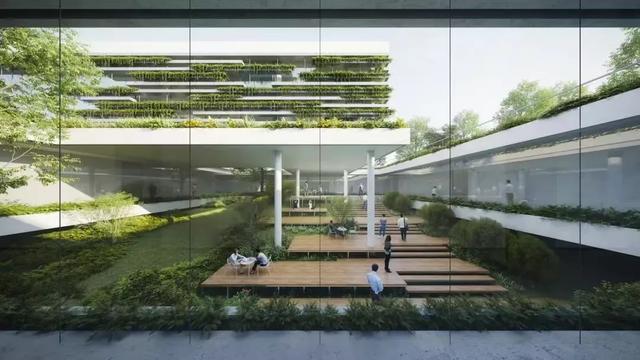 斥资3.3亿上演变形计,成都植物园与西双版纳植物园竞技国家级