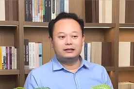 军事界的网红新星：“听风的蚕”如何靠一己之力震撼全网？图片