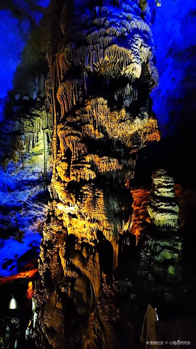 别等春天！陇南的冬日密语里，藏着限定版春日烂漫