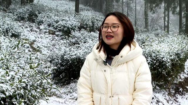 渠县迎今冬首场降雪 雾凇茶山共绘冰雪童话