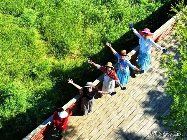 在阿尔山，邂逅一个22℃的夏天