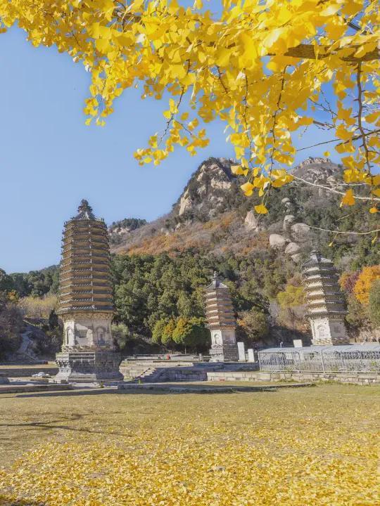 文明旅游 正面引导 | 秋色惹人醉，防火放心上！