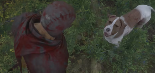 《天国拯救2》：定位可爱狗狗呆呆藏身地，详尽解救步骤大揭秘