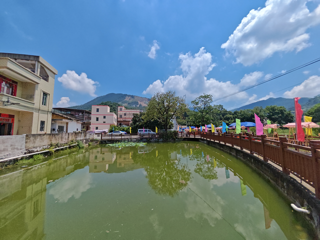 云城区高峰街道：绿荫下的赤黎村