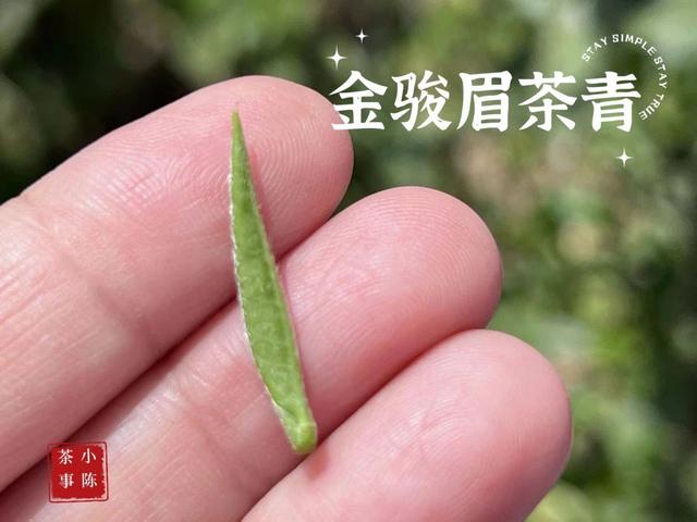 正宗金骏眉什么价位？市面上几十块的金骏眉，能买吗？答案来了