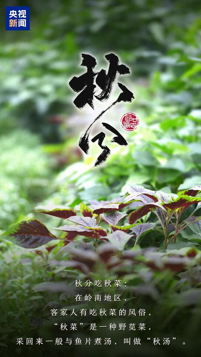 明日秋分