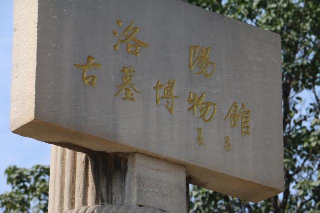 山西河南九日游，你可以和我走一样的行程，但不要和我喝的一样多