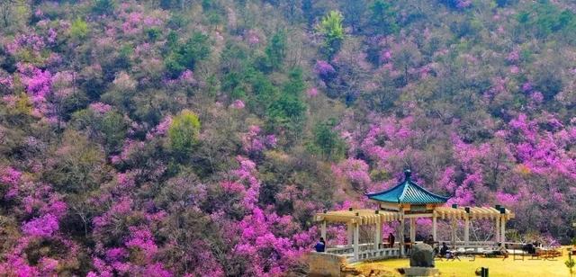 接下来的五莲，是这样的……