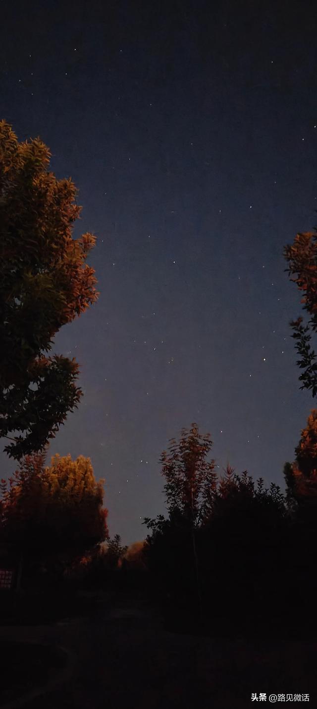夜幕中的公园