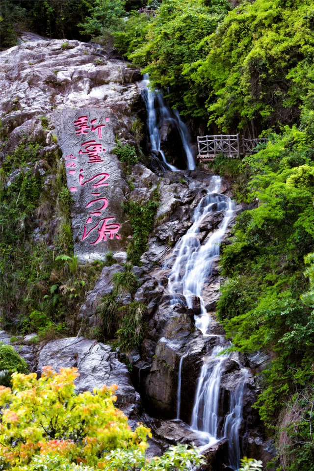 假期出游还要“卷”？建议来韶关神仙山林“森呼吸”