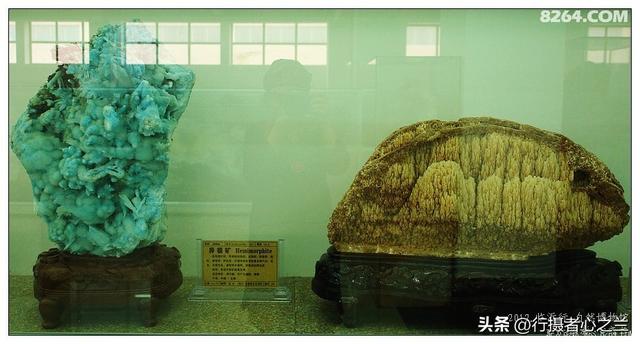 山东行游影记（31）—平邑天宇自然博物馆（六）