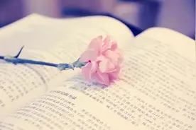 惊人的分钟定律：长大后有出息的孩子，遇到了“慢性格”的母亲图片