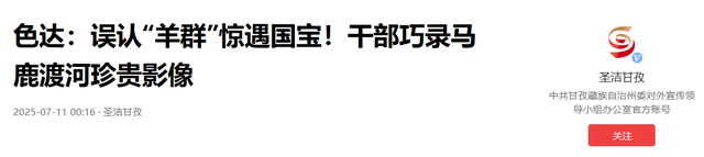 比雪豹更罕见！上世纪90年代宣布绝种的动物，在四川色达发现一群
