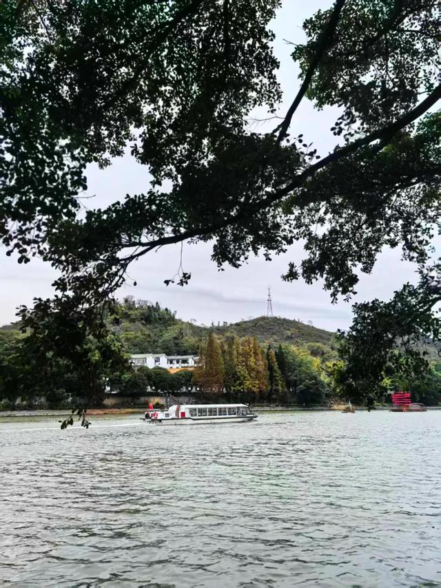 桂林:最是初冬晴午后!