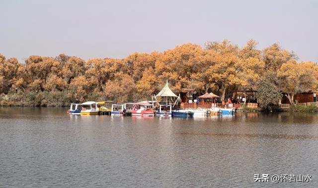 2025环南疆沙漠铁路背包自由行日记(4)——游览泽普金湖杨景区