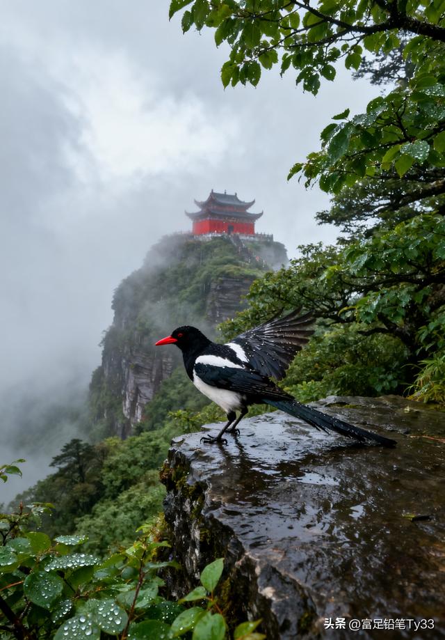 仙境中的古寺，飞鸟掠过，云海翻腾，如梦如幻！