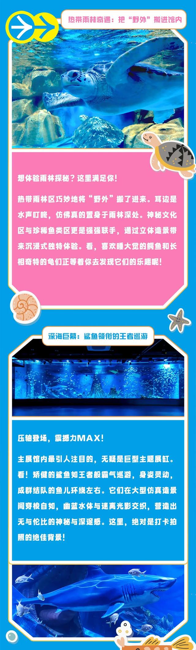云龙湖水上世界“心脏”曝光！主展馆藏着一整个奇幻水下王国！