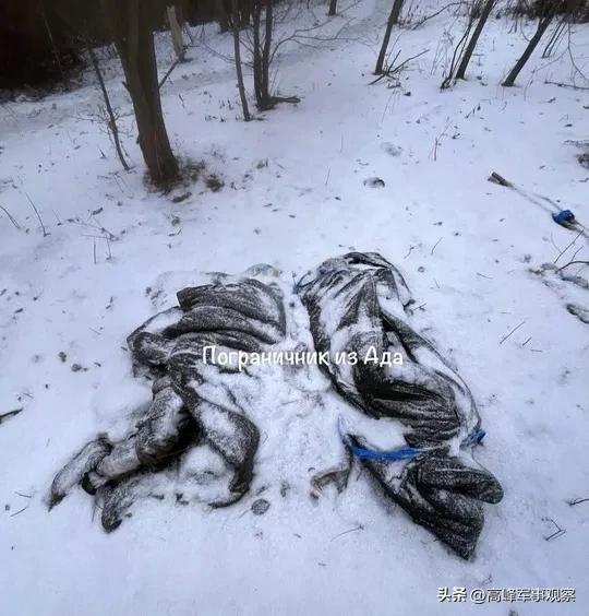 乌军反攻库尔斯克:朝鲜特种部队大开杀戒,把苏贾变成“绞肉机”