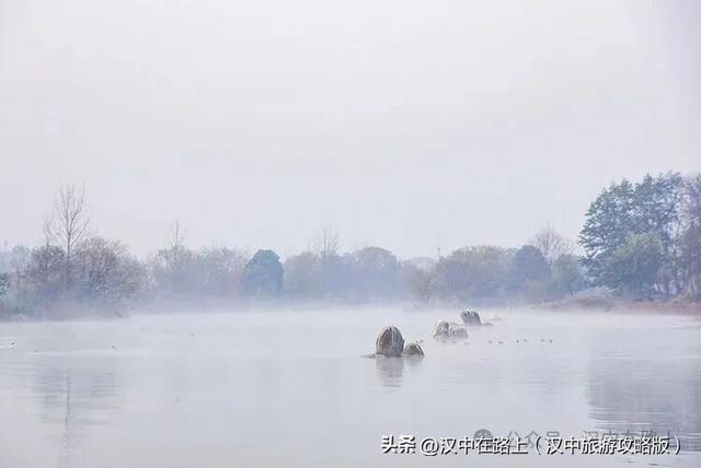 汉中汉江湿地晨景绝了！薄雾锁江，鸟戏江波，宛如仙境！