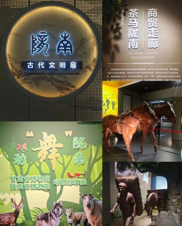 武都，把【松弛感】玩明白了
