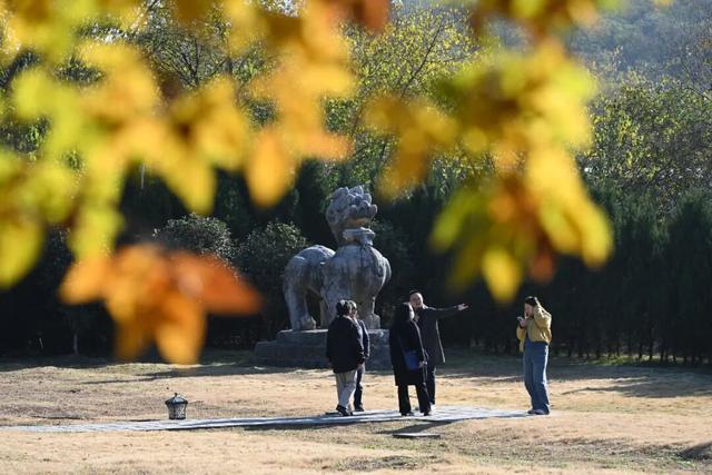 人挤人的南京，现在还值得去吗？