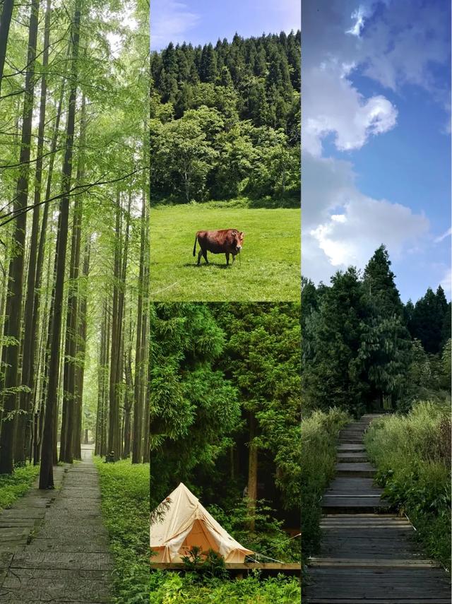 武陵山森林公园避暑狂欢