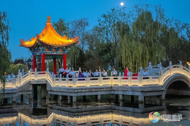我选择!咸阳这三个公园作为我的“解药”!