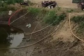 河南多地达重旱级！河南已经没有河只有难了，河水抽干了抽什么？图片