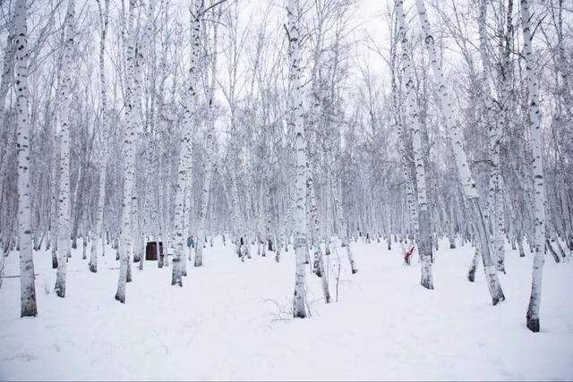 特色冰雪活动点燃额尔古纳的冬天