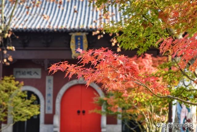 南京此地的秋意拉满了，不是栖霞山！