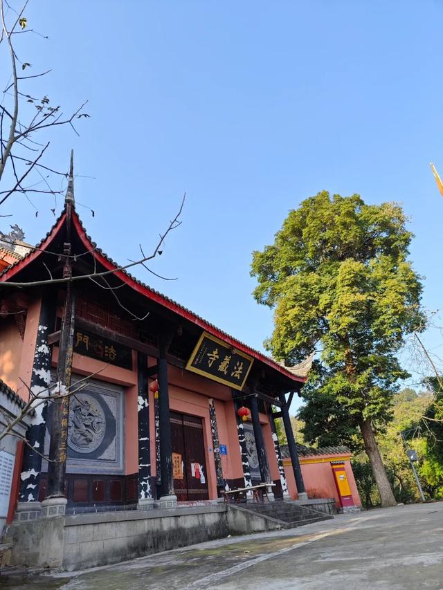 成都1h｜小众免费值得N刷的亲子徒步路线，开始捡秋啦！