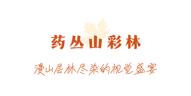 走不出这画了，我已被平武的彩林迷倒！