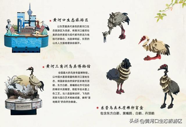 【黄河口生态旅游区】观鸟季 追光向海，赴一场黄河口的飞鸟之约！