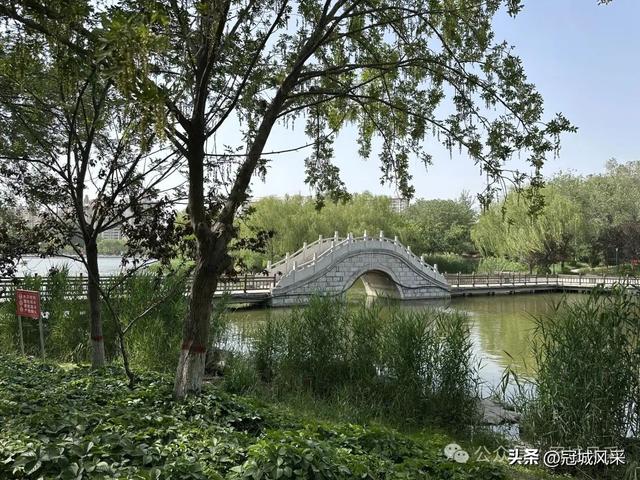 生活在冠县这座小城