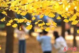 你看，校园里的“黄金打卡点”图片