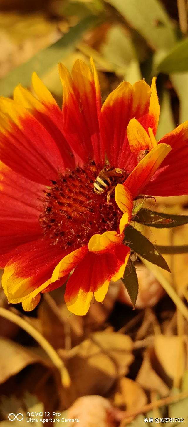 情怕骗，心怕伤，爱怕哄骗，信任怕伤害