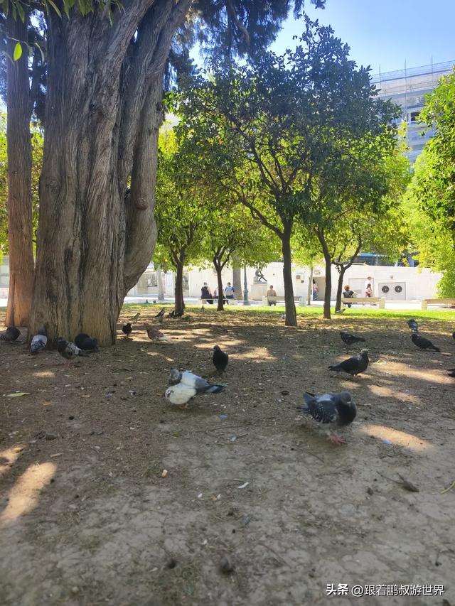 雅典怎么玩儿?去这10个地方触摸 2500 年的古典与浪漫:雅典一日游