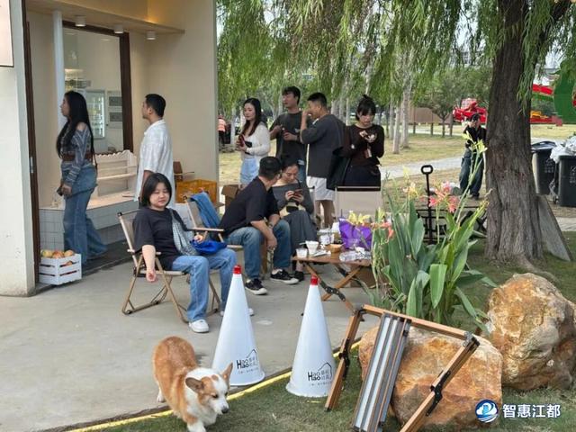 爆火！江都这里全是人，看看有你吗......