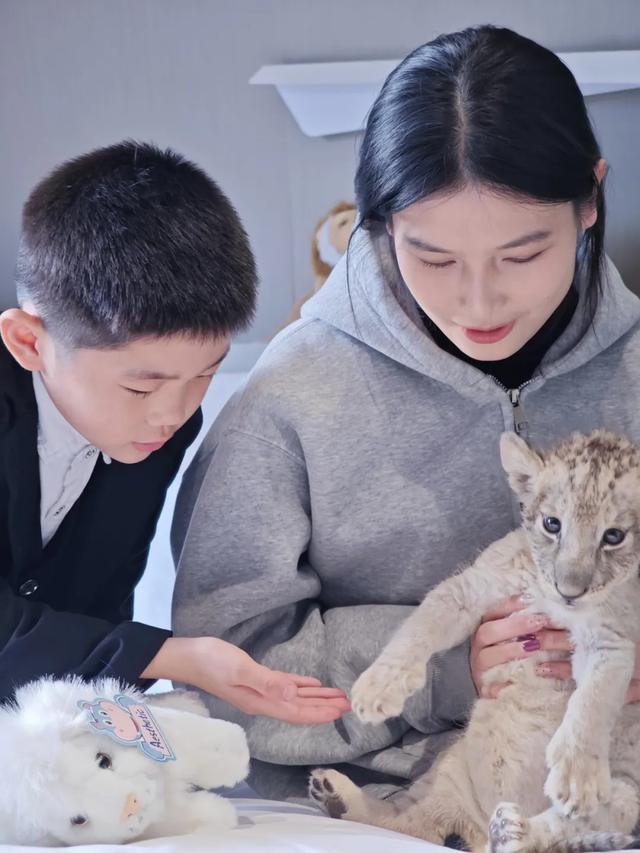 【萌狮叫醒服务】上线!快来给“最萌查房官”取个神仙名字吧!