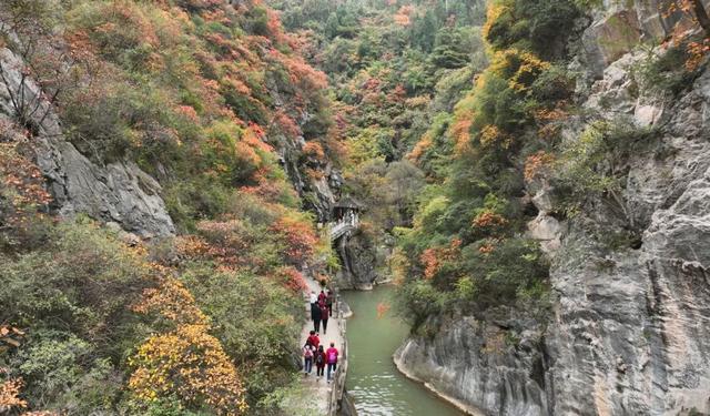 这才是秋天该有的样子~