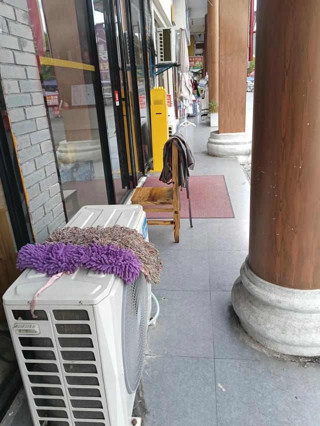 浮光掠影看宣恩,苏马荡候鸟一日游添新去处