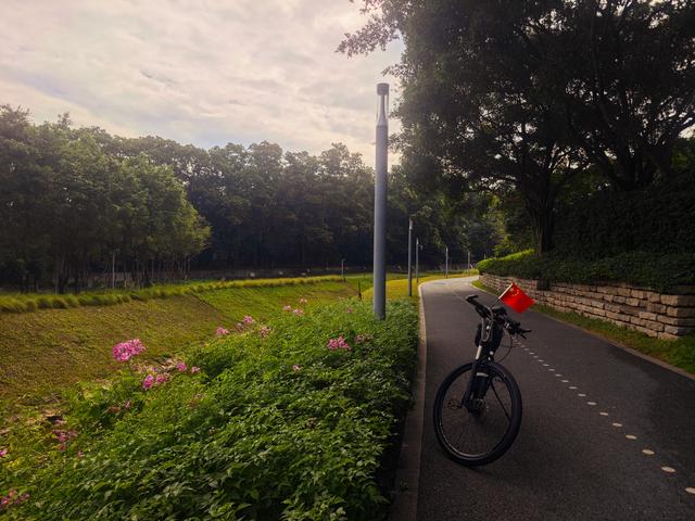 环西丽湖绿道骑行慢行随拍-动个好奇心