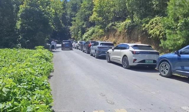 湖北恩施梭布垭石林景区