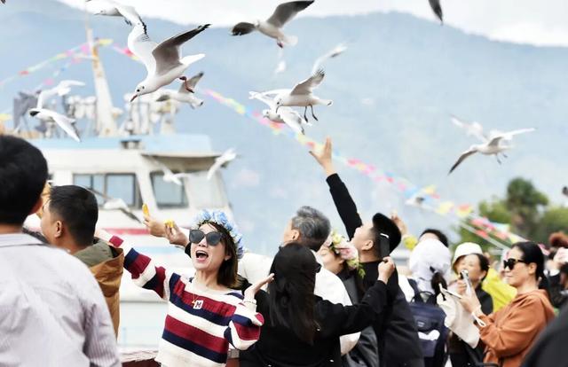 决胜“十四五” 迈上新台阶 | 滇池畔再续人鸥情 昆明擦亮春城文旅名片