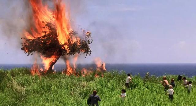 17部荒岛求生类电影，自然挑战与人性光辉