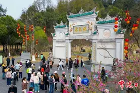 常德桃花源景区迎来春季赏花热潮图片