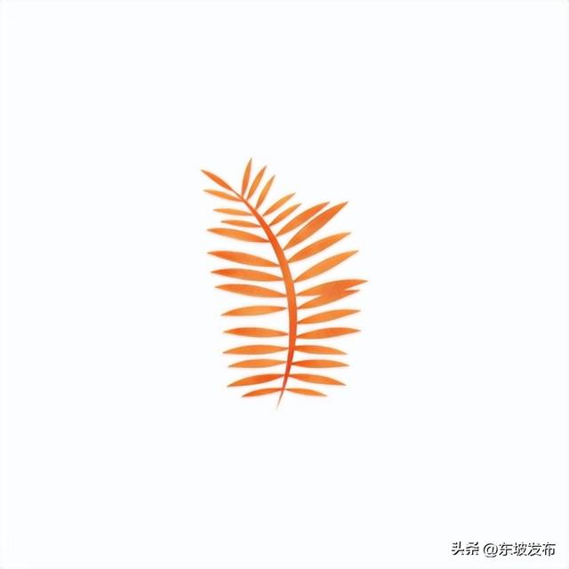 红了红了！东坡水杉出片率100%