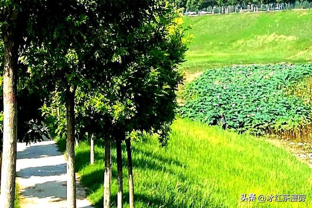 俗话说“早立秋爽，晚立秋热”，今年8月7日立秋，是早还是晚？