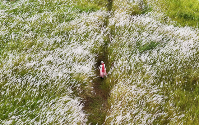 在多彩花海间，邂逅湛江的浪漫初冬！