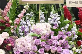 郑秀文演唱会造型被指雷人，众人送花篮四大天王独缺一人图片